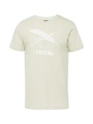 Iriedaily Bluser & t-shirts  pastelgrøn / hvid