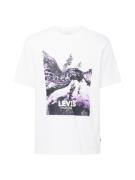 LEVI'S ® Bluser & t-shirts  lavendel / pastellilla / sort / hvid