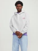 JACK & JONES Sweatshirt 'Santorini'  mørk pink / hvid-meleret