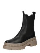 PS Poelman Chelsea Boots  taupe / sort