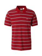 LEVI'S ® Bluser & t-shirts 'Levis HM Polo'  kirsebærsrød / sort / hvid