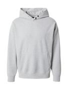 REPLAY Sweatshirt  lysegrå / sort / hvid
