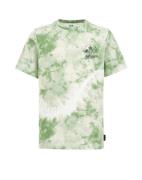 WE Fashion Shirts  grøn-meleret / hvid