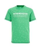 WE Fashion Shirts  grøn / hvid