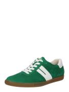Paul Green Sneaker low  grøn / hvid