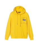 Desigual Sweatshirt  gul / grå / hvid