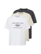 Abercrombie & Fitch Bluser & t-shirts  lysebeige / antracit / rød / hv...