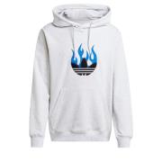 ADIDAS ORIGINALS Sweatshirt ' Flames '  blå / grå