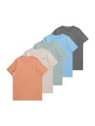 Abercrombie & Fitch Shirts  beige / lyseblå / mørkegrå / mint / koral