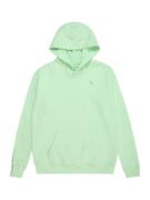 Abercrombie & Fitch Sweatshirt  pastelgrøn
