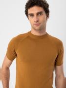 Antioch Bluser & t-shirts  rustbrun