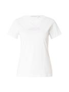 Calvin Klein Jeans Shirts  lilla / hvid
