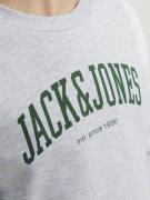 Jack & Jones Junior Sweatshirt 'Josh'  grå-meleret / gran