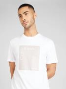 Calvin Klein Bluser & t-shirts  taupe / hvid