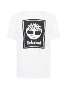 TIMBERLAND Bluser & t-shirts  sort / hvid