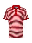 TOMMY HILFIGER Bluser & t-shirts '1985'  rød / hvid