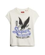 Superdry Shirts  guld / lyselilla / sort / hvid