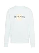 JACK & JONES Sweatshirt 'Lafayette'  chamois / natblå / pastelblå / hv...