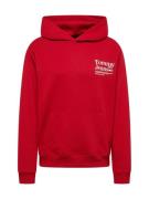 Tommy Jeans Sweatshirt  blodrød / hvid