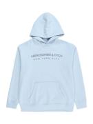 Abercrombie & Fitch Sweatshirt  lyseblå / grå