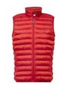 TOMMY HILFIGER Vest  blodrød