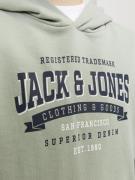 Jack & Jones Junior Sweatshirt  natblå / pastelgrøn / hvid