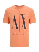 ARMANI EXCHANGE Bluser & t-shirts '8NZTPA'  orange / sort
