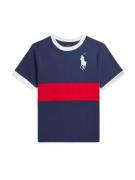 Polo Ralph Lauren Shirts  marin / rød / hvid