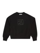 Calvin Klein Jeans Sweatshirt  sort / sølv