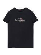 TOMMY HILFIGER Shirts  mørkeblå / mørkerød / hvid