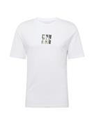 JACK & JONES Bluser & t-shirts 'JCOBERLIN'  røggrå / lysegrøn / sort /...