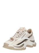 STEVE MADDEN Sneaker low 'Zoomz'  beige / creme / guld / hvid