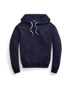 Polo Ralph Lauren Sweatshirt  navy / rød