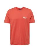 TOMMY HILFIGER Bluser & t-shirts  orangerød / hvid