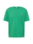 Tommy Jeans Bluser & t-shirts  kiwi