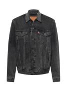 LEVI'S ® Overgangsjakke 'The Trucker Jacket'  grey denim