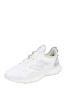 ADIDAS SPORTSWEAR Sneaker low 'Web Boost'  grå / hvid