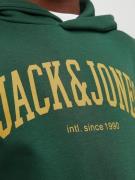 Jack & Jones Junior Sweatshirt 'JJEJosh'  gul / gran