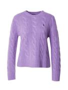 Polo Ralph Lauren Pullover  marin / lavendel