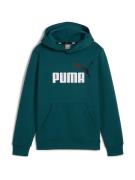 PUMA Sweatshirt 'ESS+'  smaragd / sort / hvid