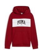 PUMA Sweatshirt 'Squad'  carminrød / sort / hvid