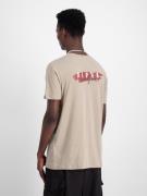 ALPHA INDUSTRIES Bluser & t-shirts  sand / blandingsfarvet