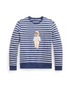 Polo Ralph Lauren Sweatshirt  lysebeige / blå / hvid