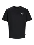 JACK & JONES Bluser & t-shirts 'LAMAXEY'  ecru / brun / sort / hvid