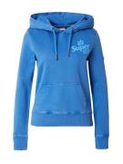 Superdry Sweatshirt  blå / lyseblå