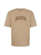 HOLLISTER Bluser & t-shirts  brun / lysebrun / hvid