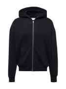 HOLLISTER Sweatshirt  sort