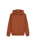 WE Fashion Sweatshirt  brun