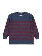 TOMMY HILFIGER Shirts  mørkeblå / rød