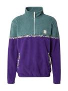 Iriedaily Pullover 'Monte Noe'  pastelgul / smaragd / mørkelilla / sor...